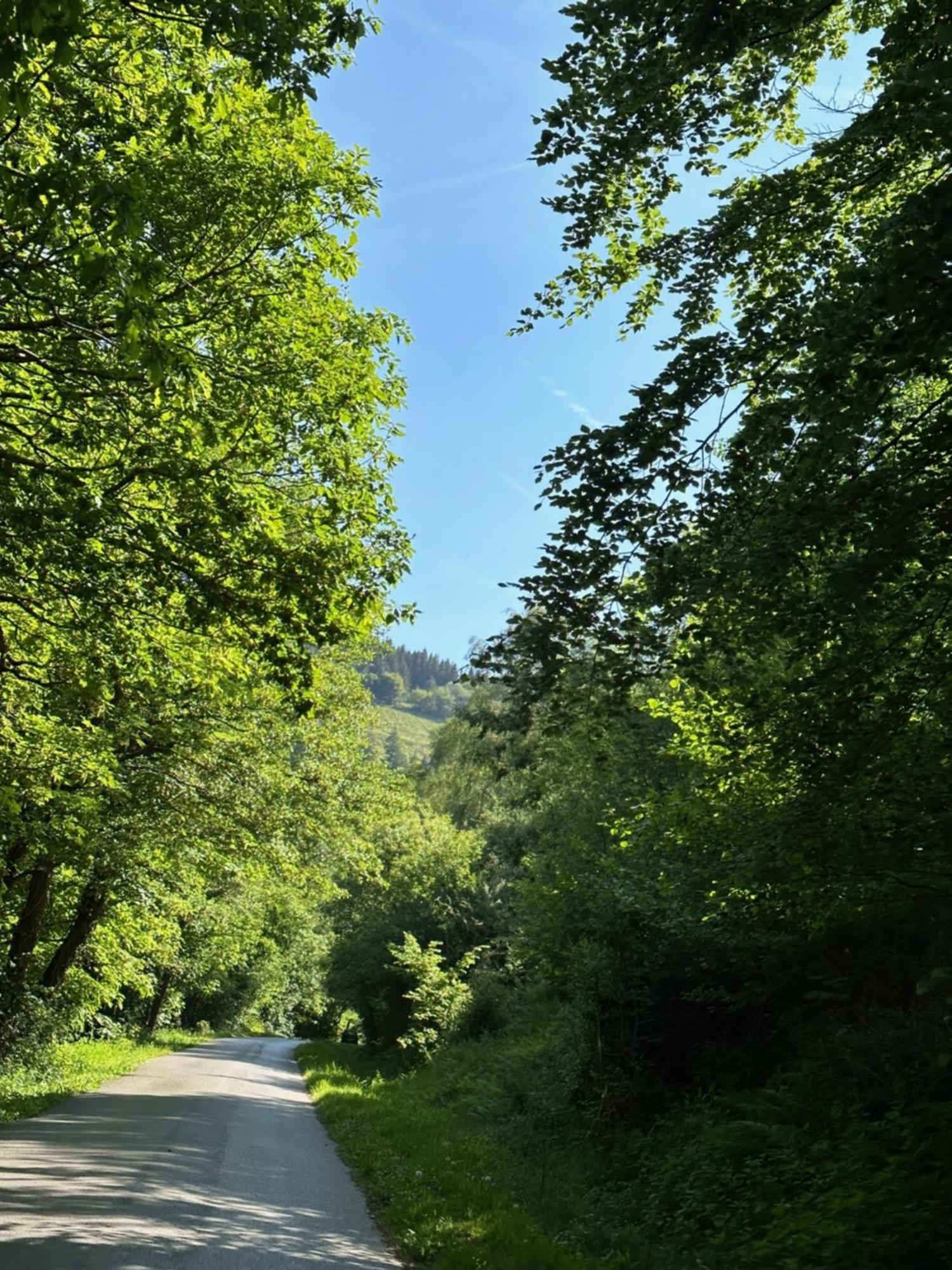Ty Cwm - Cwmcarn Valley House 외부 사진